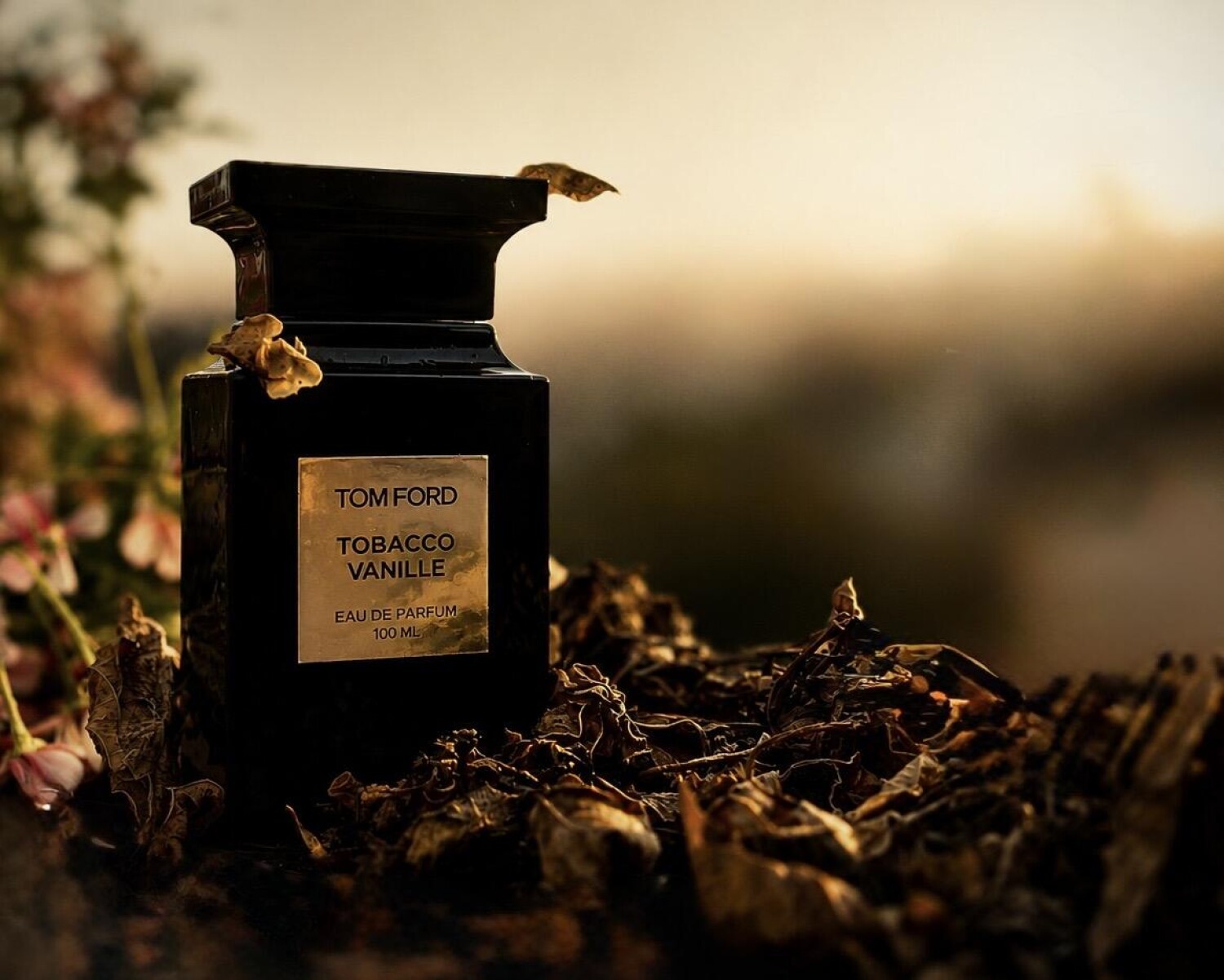TOM FORD    TOBACCO VANILLE