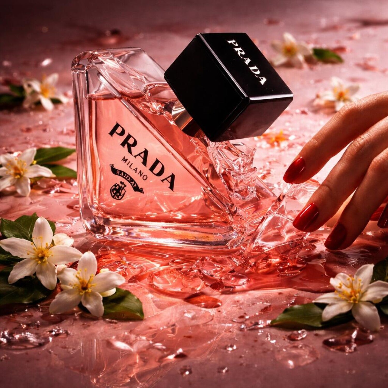 PRADA PARADOXE