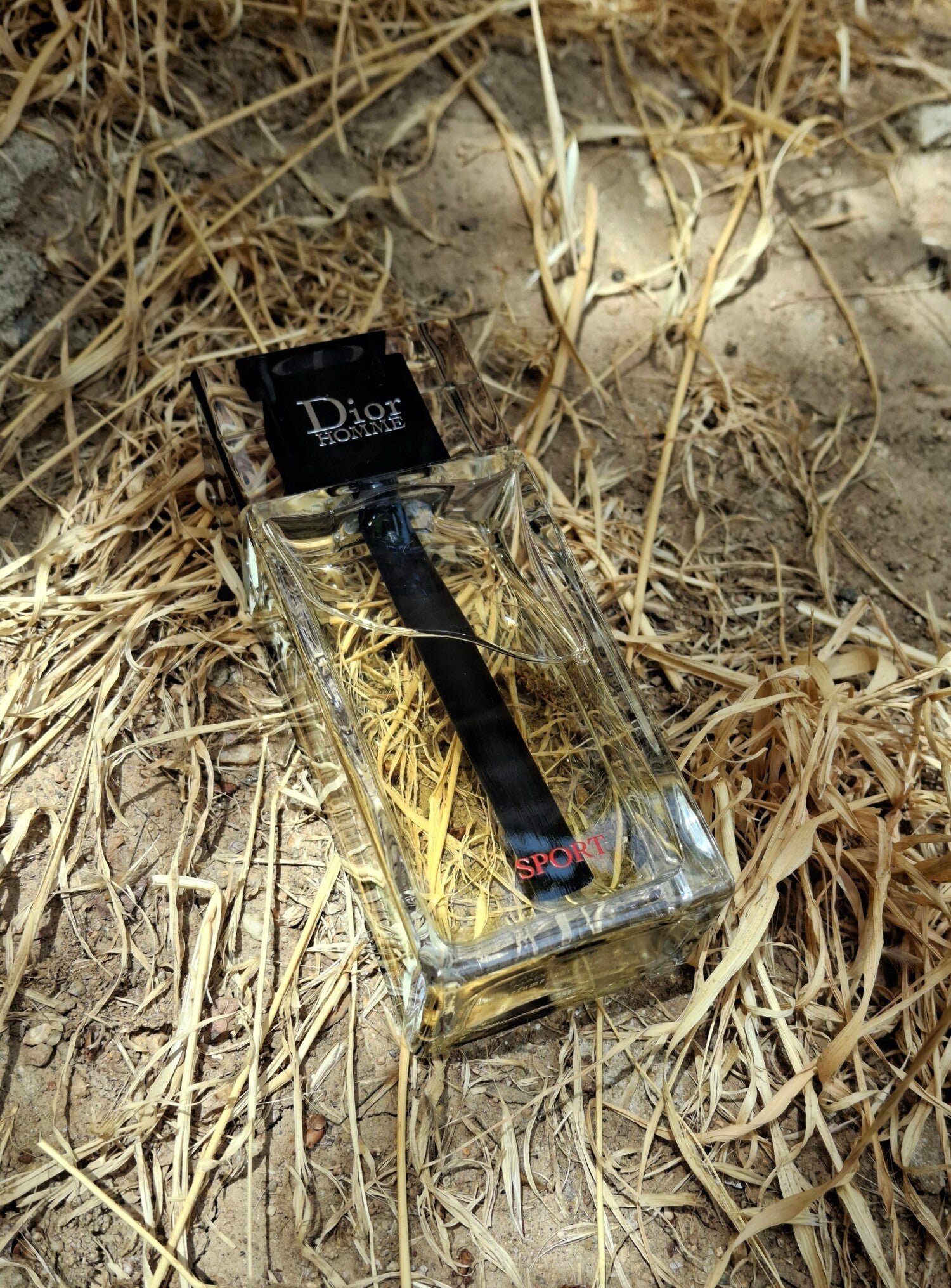 DIOR L’HOMME