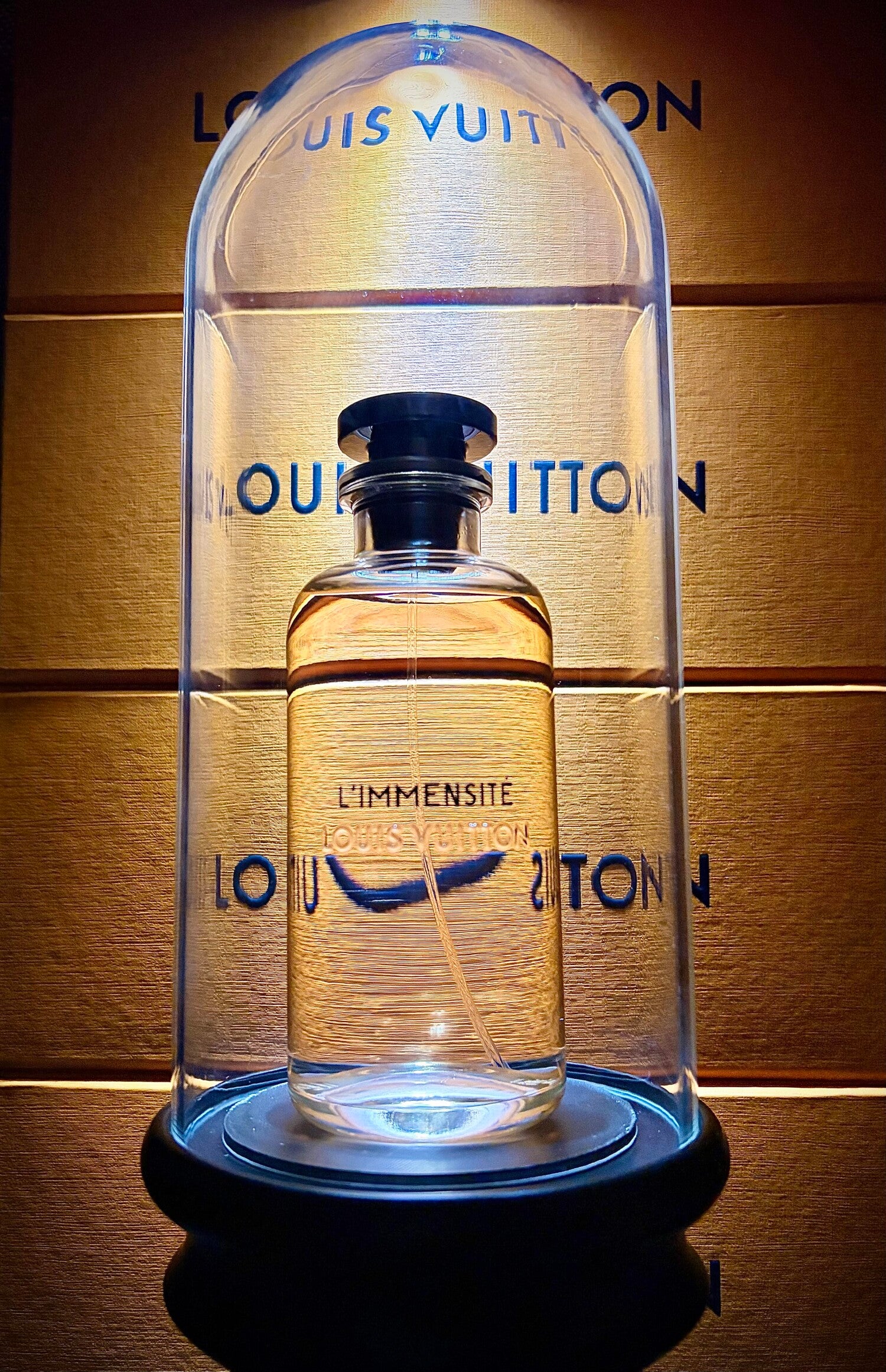 LUIS  VUITTON LIMMENSITE   X2