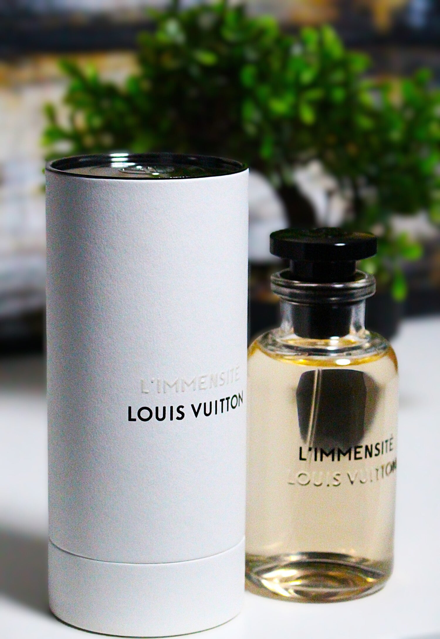 LUIS  VUITTON LIMMENSITE   X2